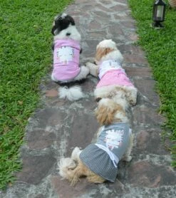 Doggy Dolly Kedi Desenli Köpek Elbisesi Gri Large -Petburada Shop doggy dolly kedi desenli kopek elbisesi 7ab9