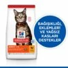 Hills Adult Chicken Tavuklu Yetişkin Kuru Kedi Maması 3 Kg