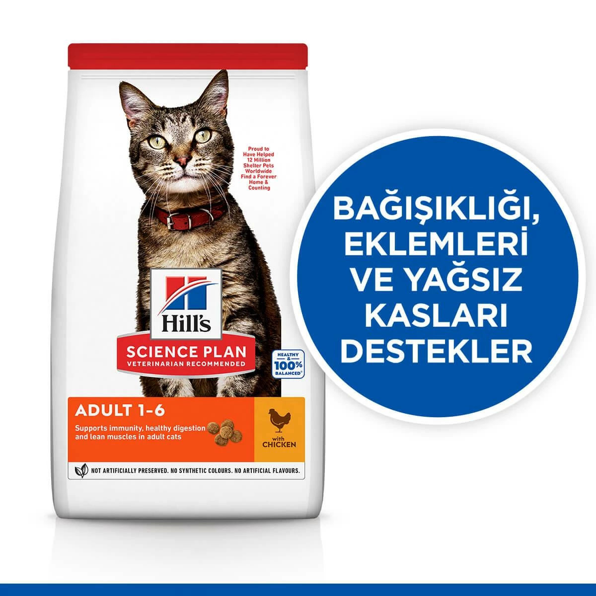 Hills Adult Chicken Tavuklu Yetişkin Kuru Kedi Maması 3 Kg 1 Hills Adult Chicken Tavuklu Yetişkin Kuru Kedi Maması 3 Kg