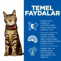 Hills Feline Light Yetişkin Kuru Kedi Maması 3 Kg -Petburada Shop hills feline light yetiskin kuru kedi 8dbe