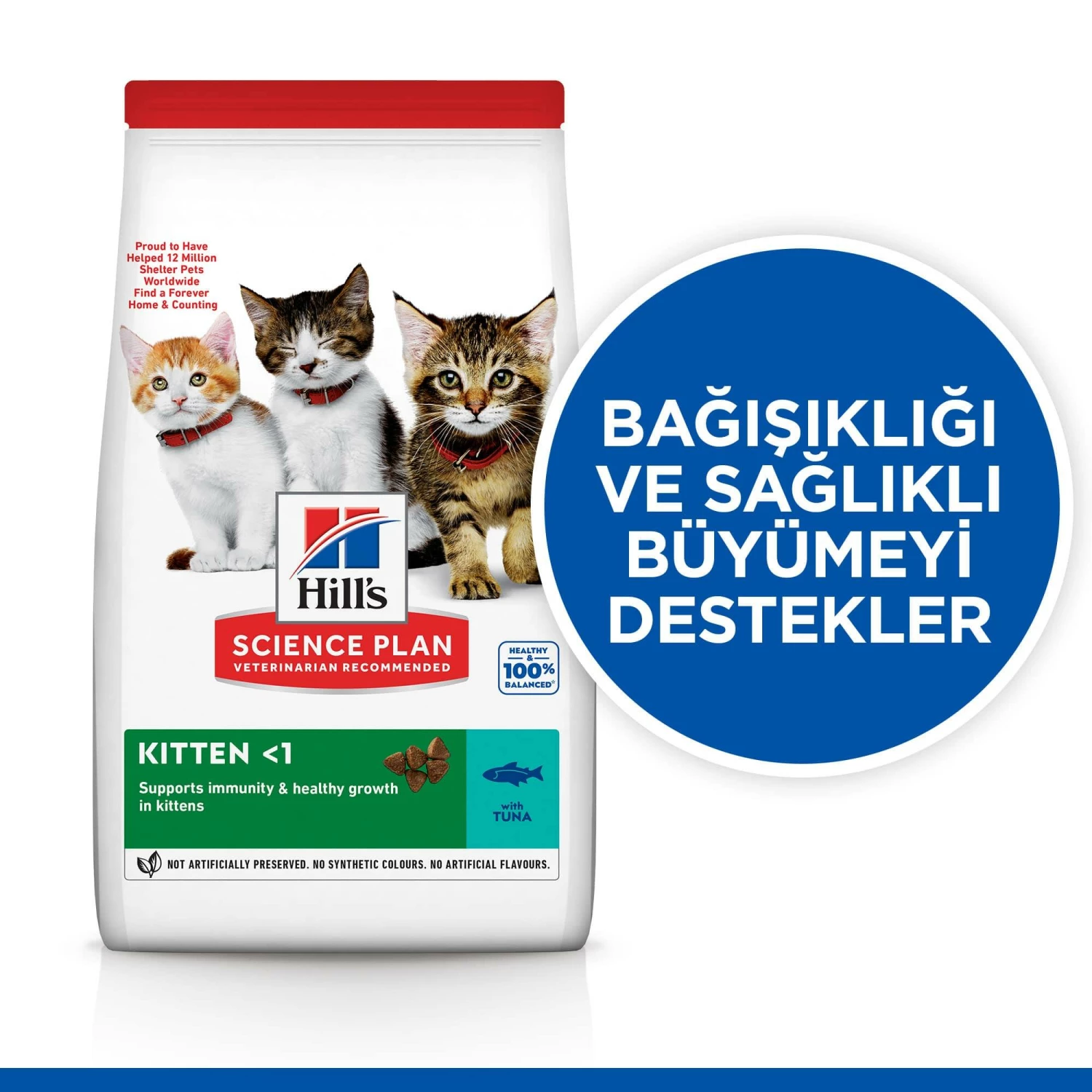 Hills Kitten Tuna Balıklı Yavru Kedi Kuru Maması Tuna 1.5 Kg 5 Hills Kitten Tuna Balıklı Yavru Kedi Kuru Maması Tuna 1.5 Kg - Image 5
