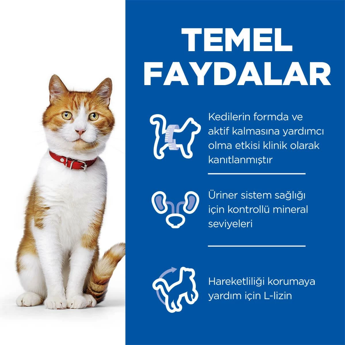 Hills Science Plan Kısırlaştırılmış Tuna Balıklı Kedi Maması 3 Kg 2 Hills Science Plan Kısırlaştırılmış Tuna Balıklı Kedi Maması 3 Kg - Image 2