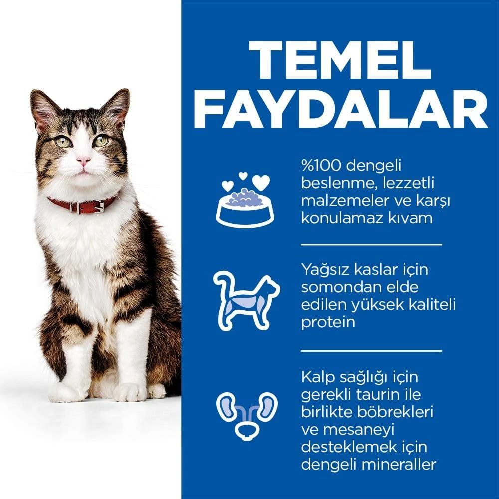 Hills Hill's Somonlu Ve Havuçlu Yetişkin Kedi Maması 1.5 Kg 2 Hills Hill's Somonlu Ve Havuçlu Yetişkin Kedi Maması 1.5 Kg - Image 2