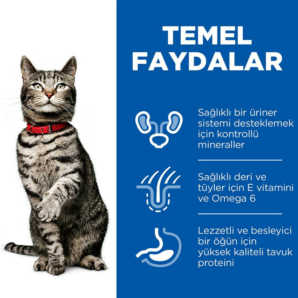 Hills Urinary İdrar Yolu Destekleyici Kedi Maması 1,5 Kg 4 Hills Urinary İdrar Yolu Destekleyici Kedi Maması 1,5 Kg - Image 4