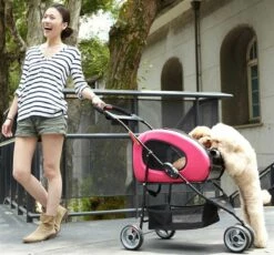 Ibiyaya Orange Köpek Puseti - Kedi Puseti -Petburada Shop ibiyaya orange kopek puseti kedi puset 66a2