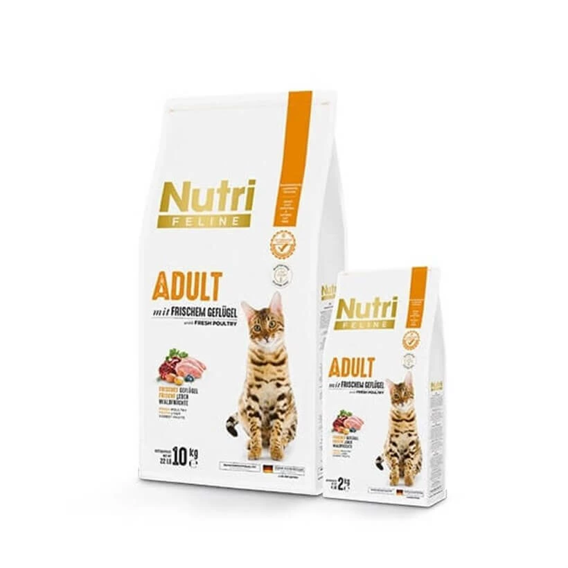 Nutri Feline Tavuklu Yetişkin Tahılsız Kedi Maması 10 Kg 1 Nutri Feline Tavuklu Yetişkin Tahılsız Kedi Maması 10 Kg