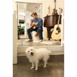 PetSafe Pet Safe Ssscat Otomatik Kedi Ve Köpek Uzaklaştırıcı Sprey -Petburada Shop pet safe ssscat otomatik kedi ve kopek u db49