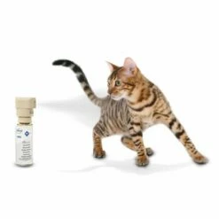 PetSafe Pet Safe Ssscat Otomatik Kedi Ve Köpek Uzaklaştırıcı Sprey -Petburada Shop pet safe ssscat otomatik kedi ve kopek u fe4a