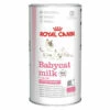 Royal Canin Babycat Milk Yavru Kedi Süt Tozu 300 Gr