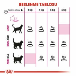 Royal Canin Exigent Kuru Kedi Maması 4 Kg -Petburada Shop royal canin exigent kuru kedi mamasi 4 95a 49