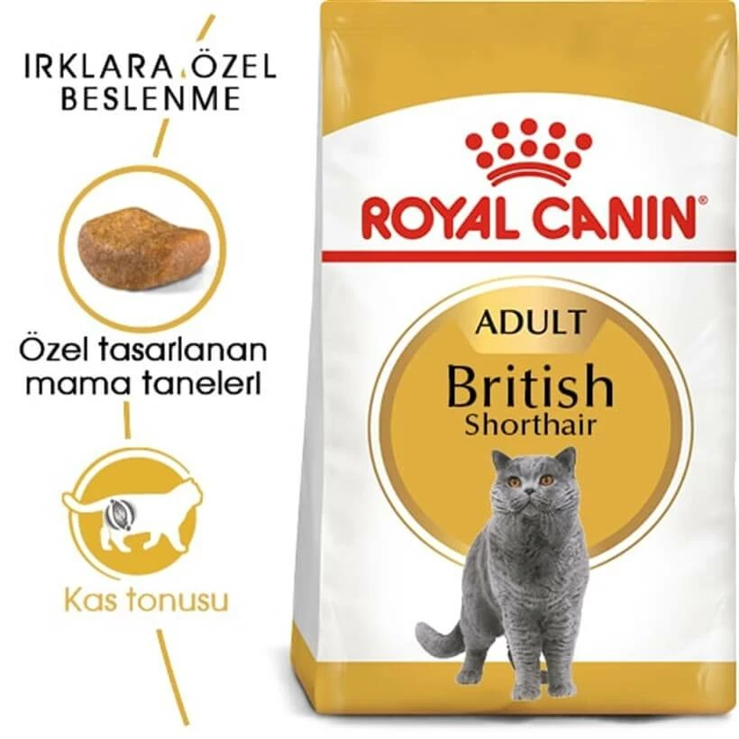 Royal Canin FBN British Shorthair Yetişkin Kedi Maması 4 Kg 2 Royal Canin FBN British Shorthair Yetişkin Kedi Maması 4 Kg - Image 2