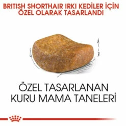 Royal Canin FBN British Shorthair Yetişkin Kedi Maması 4 Kg 5 Royal Canin FBN British Shorthair Yetişkin Kedi Maması 4 Kg -Petburada Shop royal canin fbn british shorthair yeti bbde18