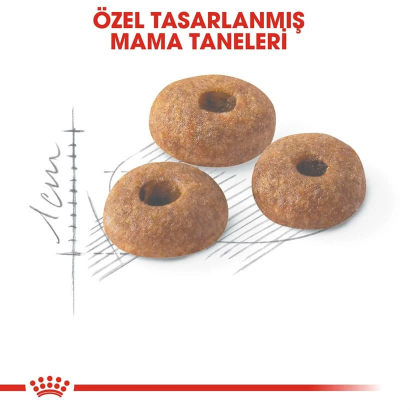 Royal Canin Fit 32 Kuru Kedi Maması 2 Kg 3 Royal Canin Fit 32 Kuru Kedi Maması 2 Kg - Image 3
