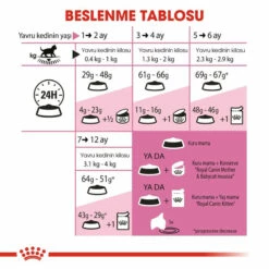 Royal Canin Kitten Yavru Kuru Kedi Maması 2 Kg 8 Royal Canin Kitten Yavru Kuru Kedi Maması 2 Kg -Petburada Shop royal canin kitten yavru kuru kedi mam 4f8 bd