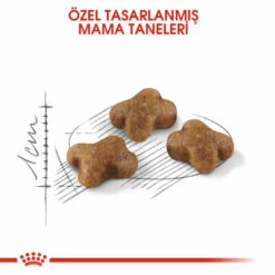 Royal Canin Kitten Yavru Kuru Kedi Maması 2 Kg 6 Royal Canin Kitten Yavru Kuru Kedi Maması 2 Kg -Petburada Shop royal canin kitten yavru kuru kedi mam 680b8f
