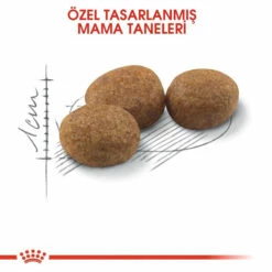 Royal Canin Sterilised 37 Kısırlaştırılmış Kuru Kedi Maması 10 Kg 6 Royal Canin Sterilised 37 Kısırlaştırılmış Kuru Kedi Maması 10 Kg -Petburada Shop royal canin sterilised 37 kisirlastiri d 975a