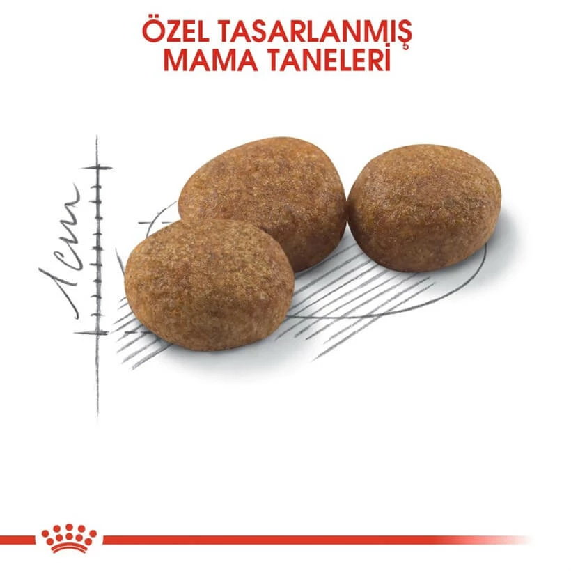 Royal Canin Sterilised 37 Kısırlaştırılmış Kuru Kedi Maması 10 Kg 3 Royal Canin Sterilised 37 Kısırlaştırılmış Kuru Kedi Maması 10 Kg - Image 3