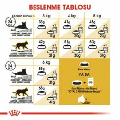 Royal Canine Siamese 38 Kuru Kedi Maması 2 Kg 6 Royal Canine Siamese 38 Kuru Kedi Maması 2 Kg -Petburada Shop royal canine siamese 38 kuru kedi mama b43 41